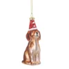 Julkula - Dog in A Santa Hat