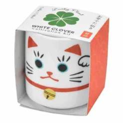 Lucky Plant - Beckoning Cat