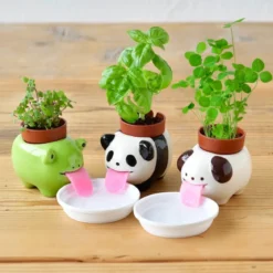 Peropon Panda-Kruka med växt - Basilika