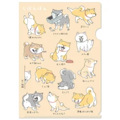 Shibanban A4 Clear File - Casual Days