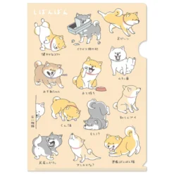 Shibanban A4 Clear File - Casual Days